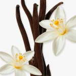 Althaïr Valaya Perfume (1)