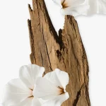 Marly Valaya Perfume (2)
