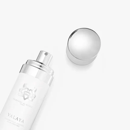 Valaya Your Travel Ritual (3)